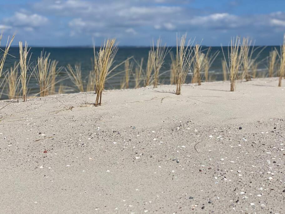 Traumhafte Ferienwohnung Im Landhausstil Hanshagen  Zewnętrze zdjęcie