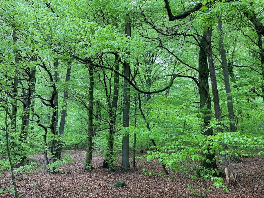 Traumhafte Ferienwohnung Im Landhausstil Hanshagen  Zewnętrze zdjęcie